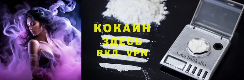 Cocaine FishScale  hydra как войти  Нефтекамск 