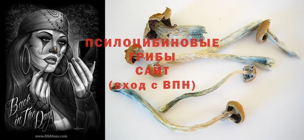 гидра Нефтегорск