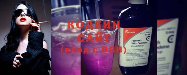 крисы Приозерск