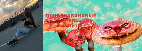 меф Вяземский