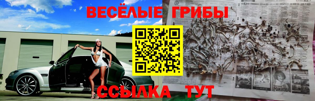 Псилоцибиновые грибы прущие грибы  Вход с VPN  Нефтекамск 