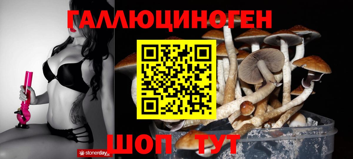Галлюциногенные грибы прущие грибы Нефтекамск